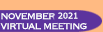 November 2021 Virtual Meeting