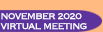 November 2020 Virtual Meeting